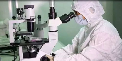 聚焦生物创新前沿 无锡市副市长高亚光一行调研中德生物技术研发