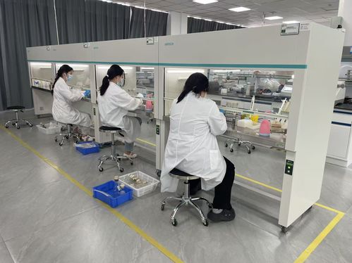 食力出圈，科技破局 漯河解锁现代农业新赛道——生物技术研发引领变革